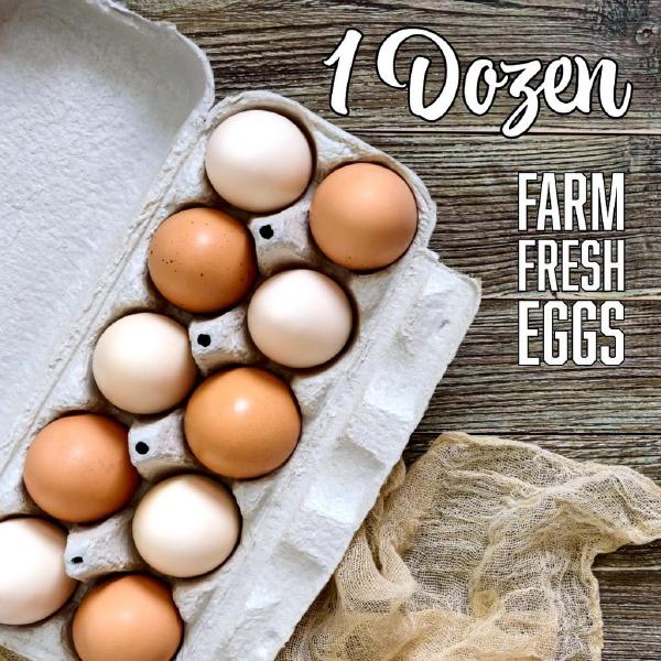 1 Dozen Farm Fresh Eggs “Egg CA Prop 12 Compliant”
