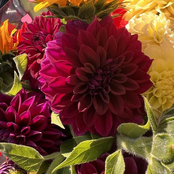 2025 Flower Share