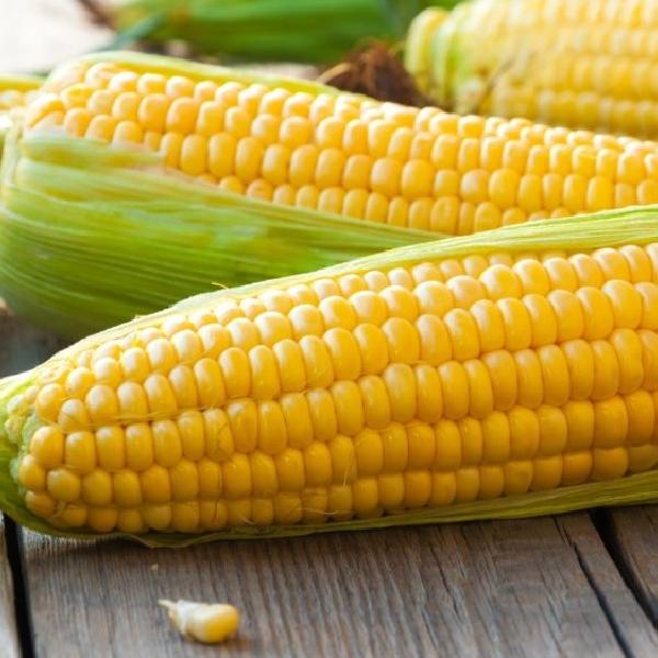 Corn on the Cob