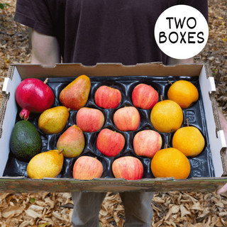 Double Size CSA Fruit Share