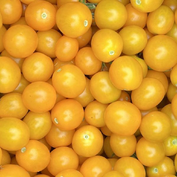 Yellow Mini Cherry Tomato
