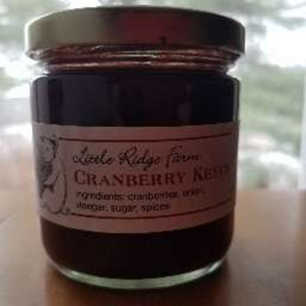 Cranberry Ketchup
