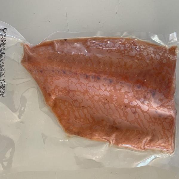 Coho Salmon