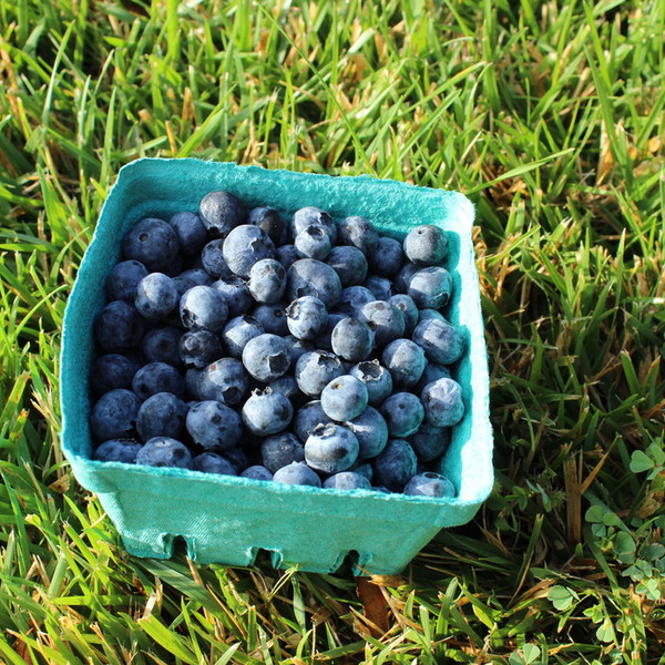 Berries