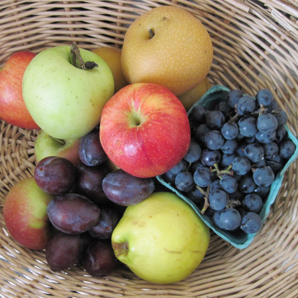 Fruit Only