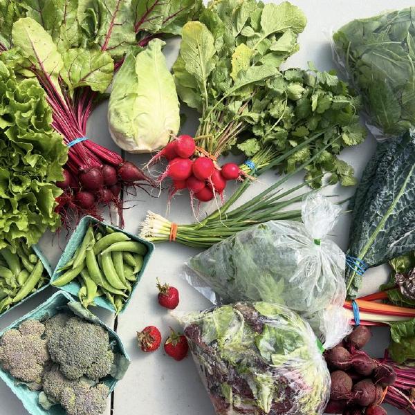 Whistle Cat Farm Veggie Share - InterMed