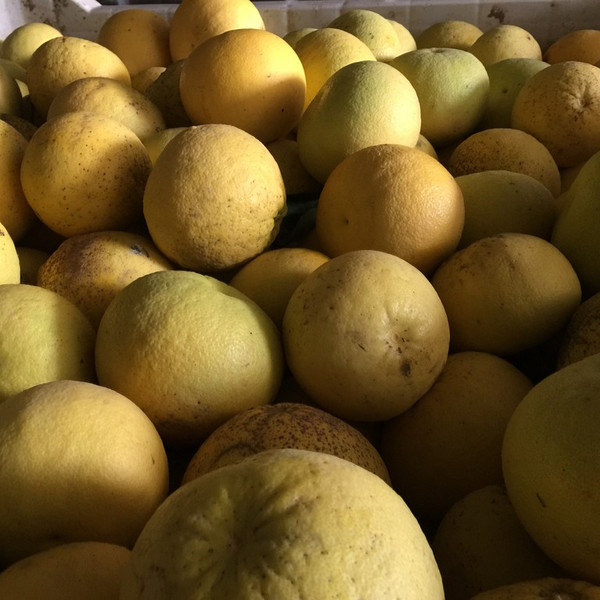 Fruit, Pomelos