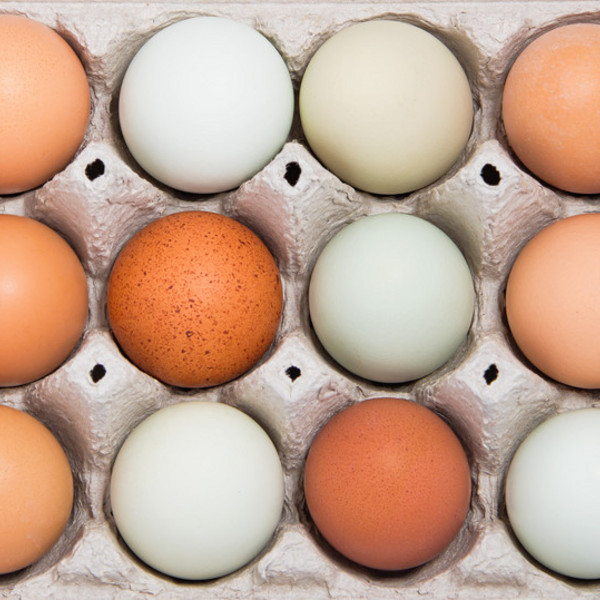 Happy Hens Eggs