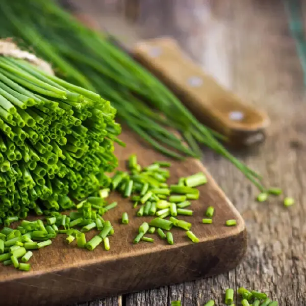 Chives, Onion