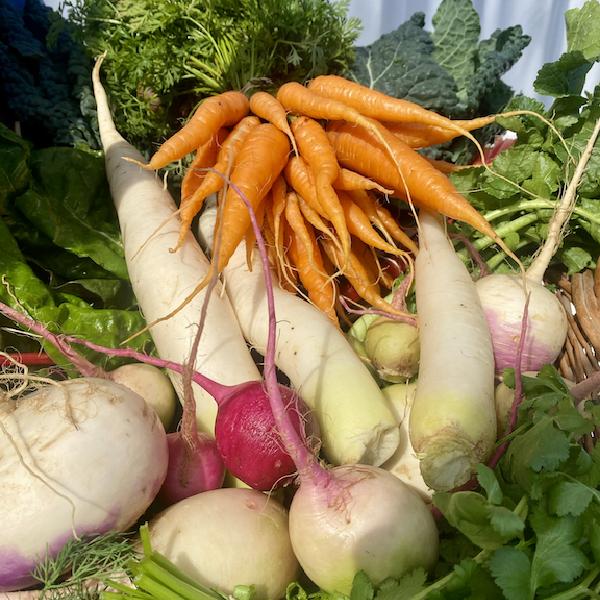 Individual Veggie Share