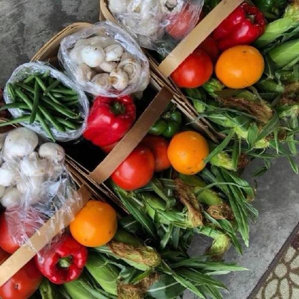 Trial of Weekly Produce Basket