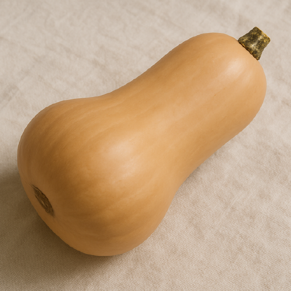 Butternut Squash