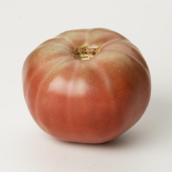 Plum Tomatoes (5lb)