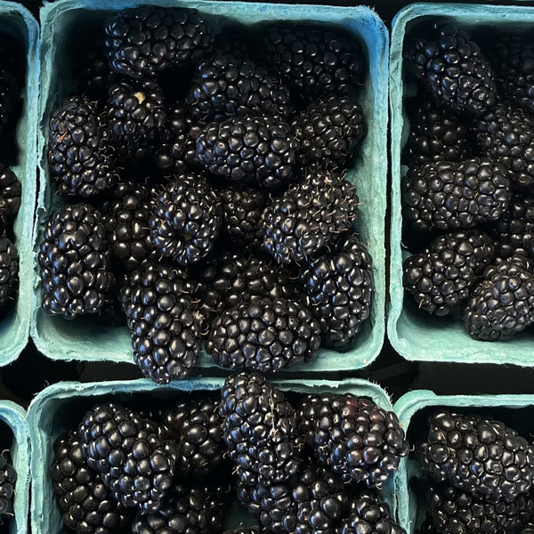 Blackberries