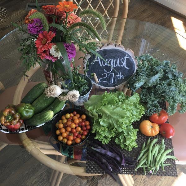 2026 Full Share - Biweekly or any 12 weeks