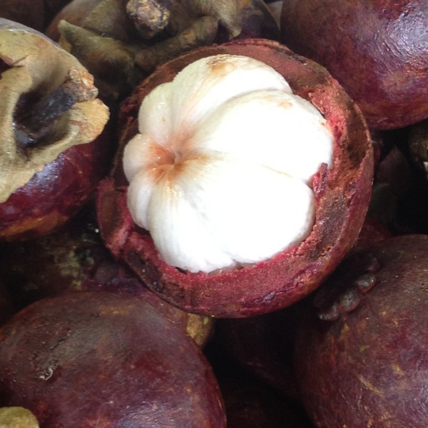 Mangosteen