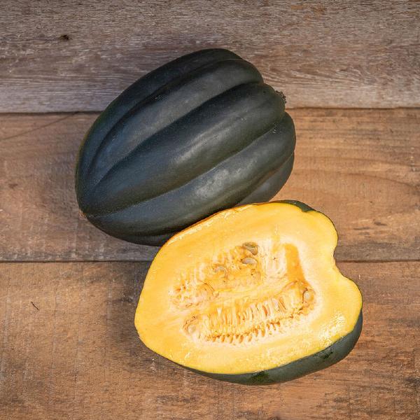 Autumn Delight Acorn Winter Squash