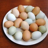 Farmers Fresh CSA photo 10