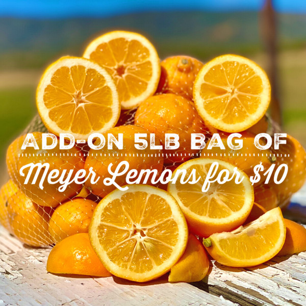 5lb Bag of Meyer Lemons