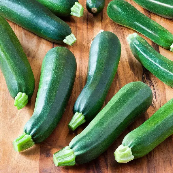 Dark Green Zucchini Squash