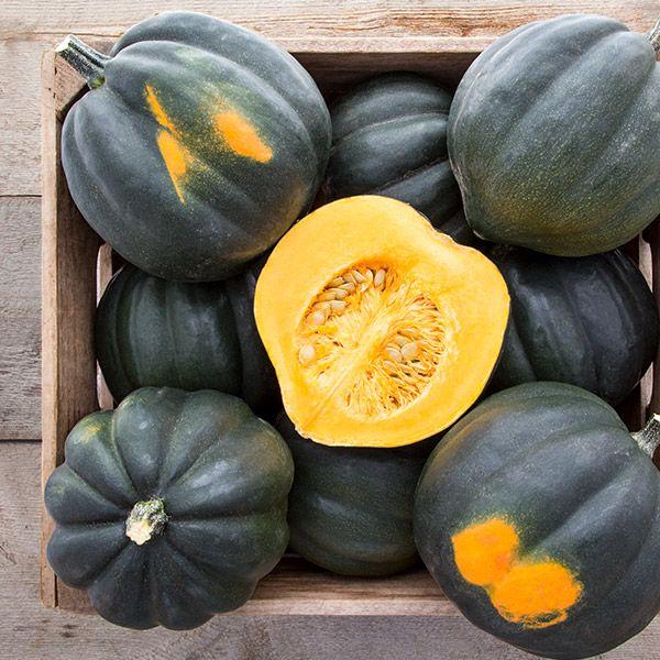 Organic Acorn Squash