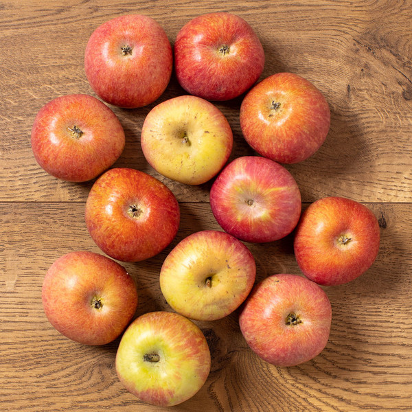 Gala Summer Apples