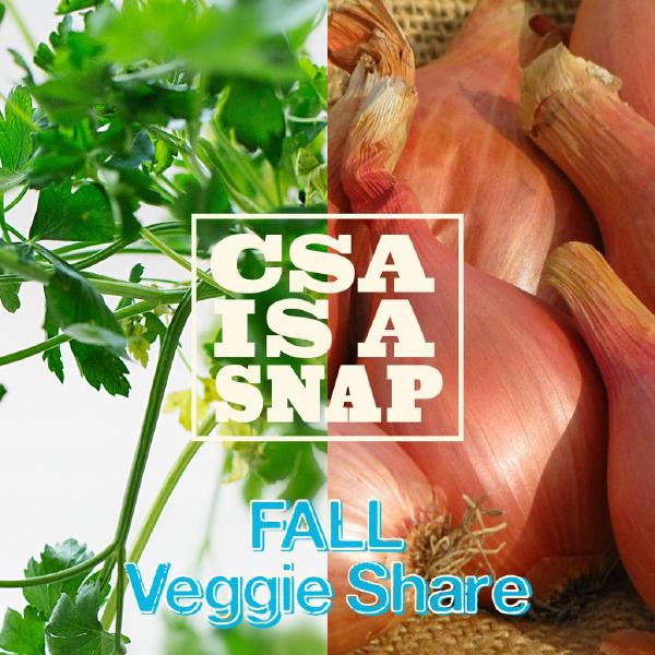 CSA is a SNAP Fall Veggie Share