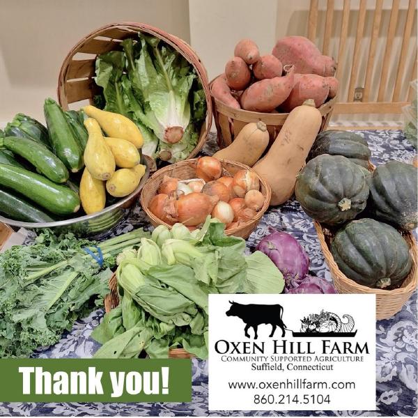 Donation Share to Food Pantry Autumn 2025