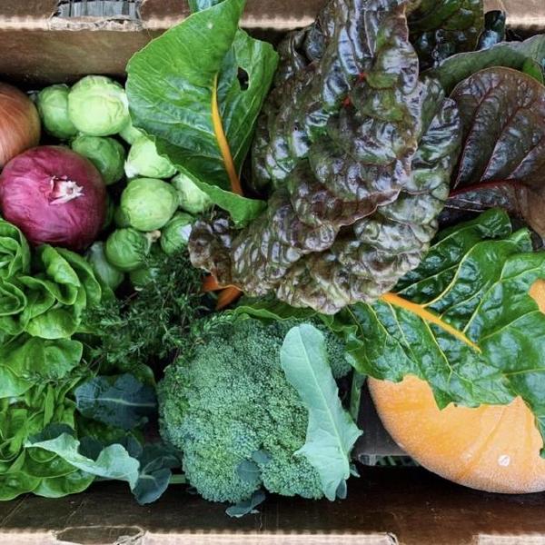 4 - Week Trial Produce Basket