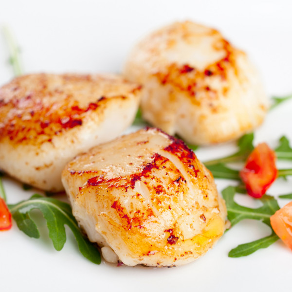 Scallops