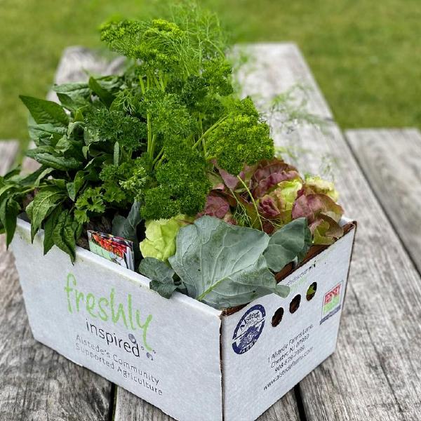 Cases of Fruits and Vegetables