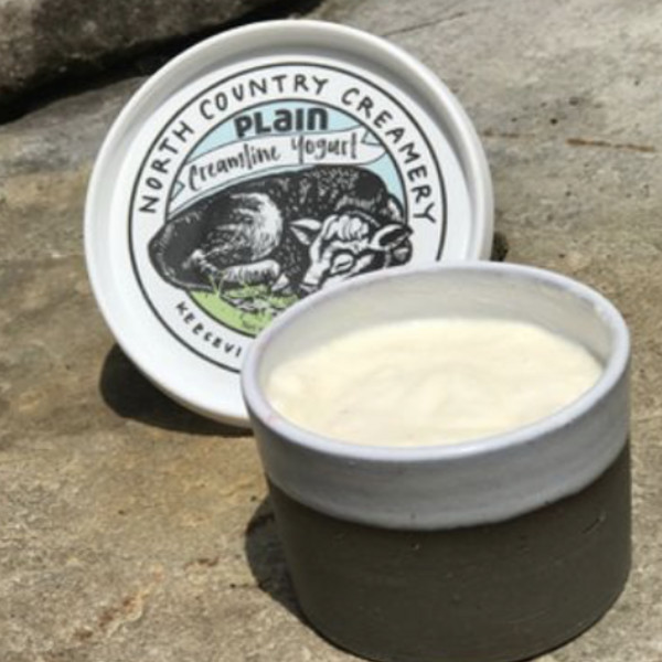 Yogurt (Cow Milk)