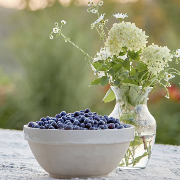 Frozen Blueberries