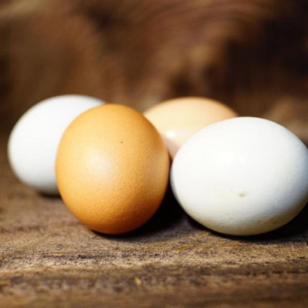Eggs