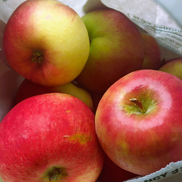 IPM Apples 'Paula Red' - 5lbs