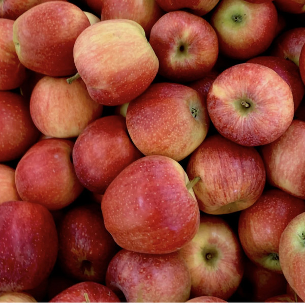 2025 Apple Add-On Subscription