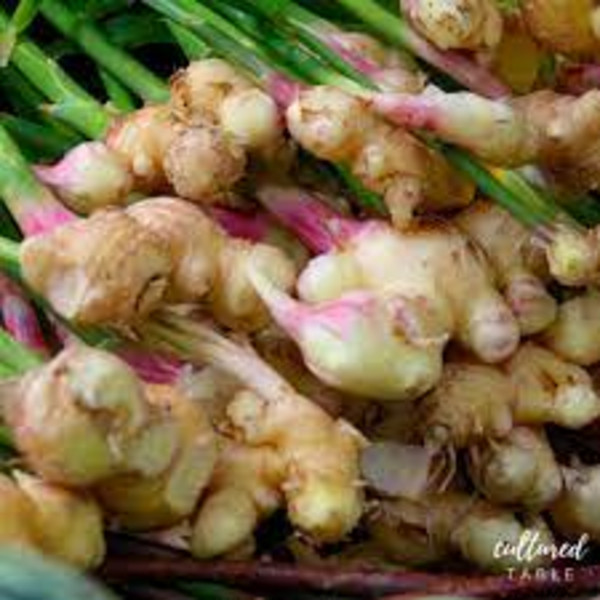 Fresh Organic Ginger