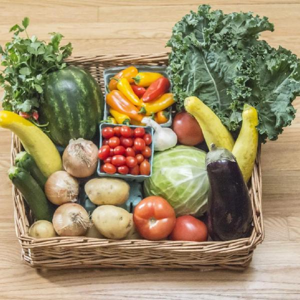 2025 FALL CSA  October 8 - December 24