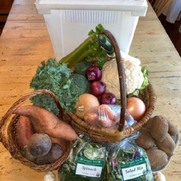 2025 Late Fall Share