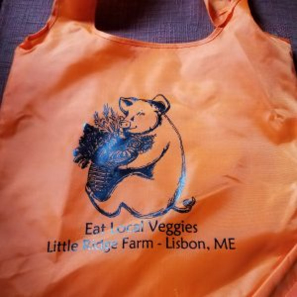 Reusable Shopping Bag, orange