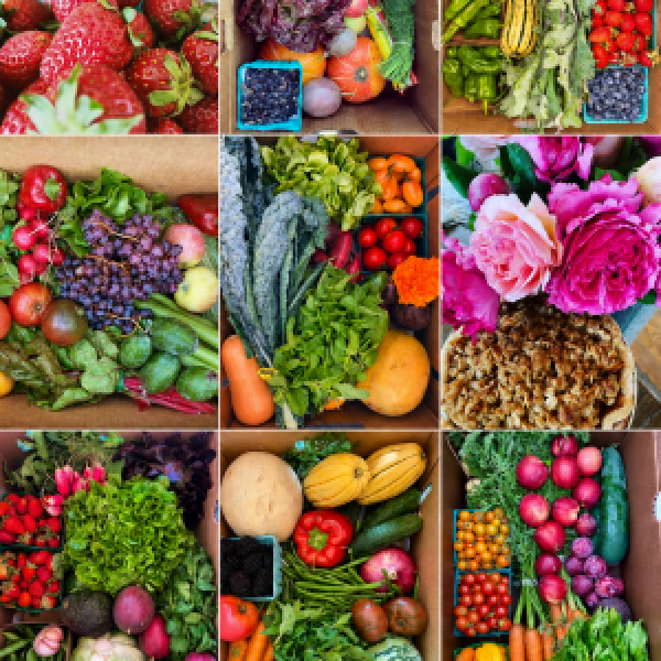 2026 Fall Build-Your-Own-Farm Box ($100 Minimum)