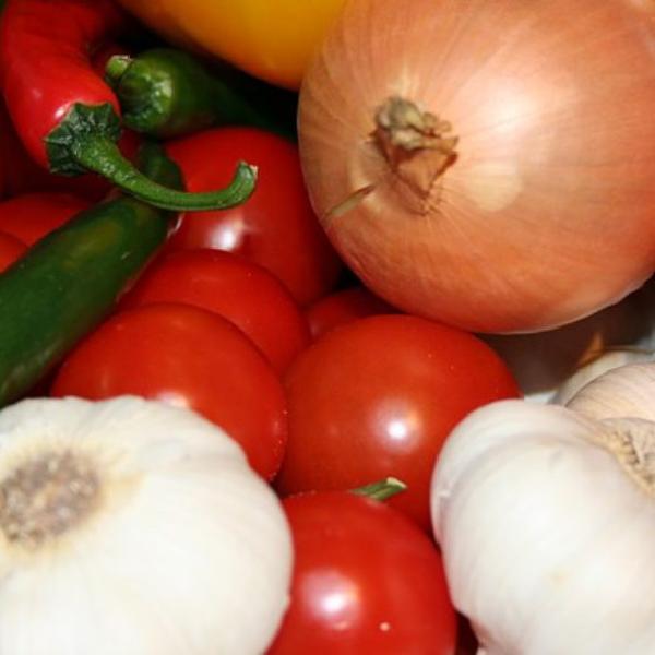 Salsa share- 13 weeks- Spring 2026