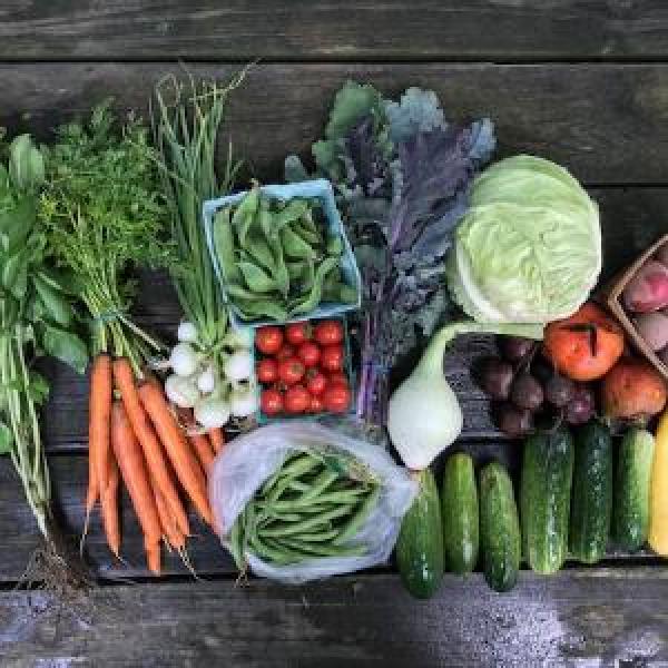 Fall Produce Share (12 Weeks)