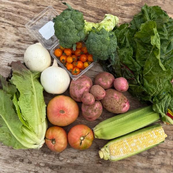 2026 Summer Sustainer Share