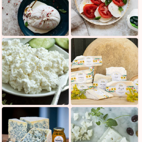 Two Month Cheese Share (August - September)