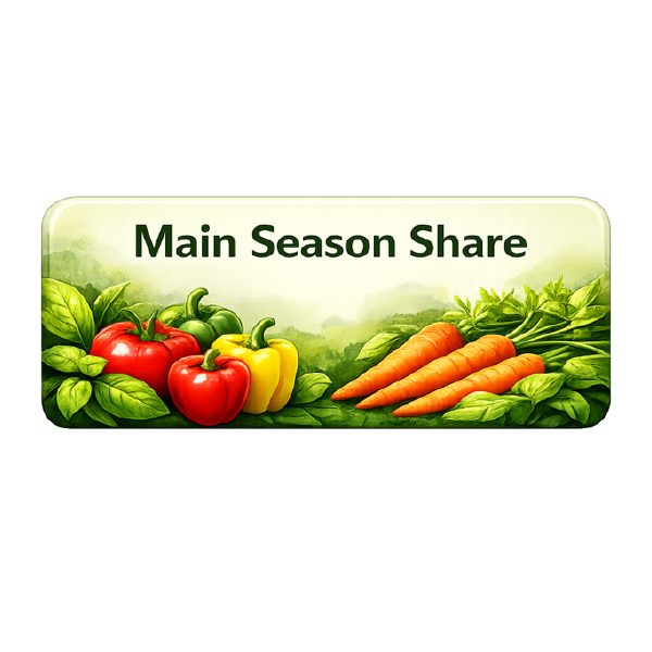 2026 Main Season Share