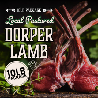 10lb Work From Home DORPER LAMB Package