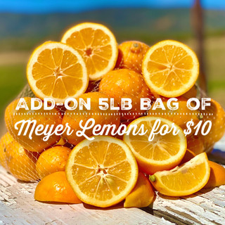 5lb Bag of Meyer Lemons