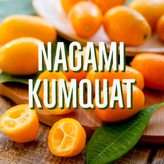 Nagami Kumquats