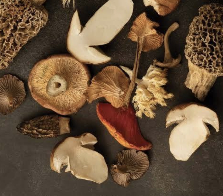 Mushrooms, Wild Foraged Medley